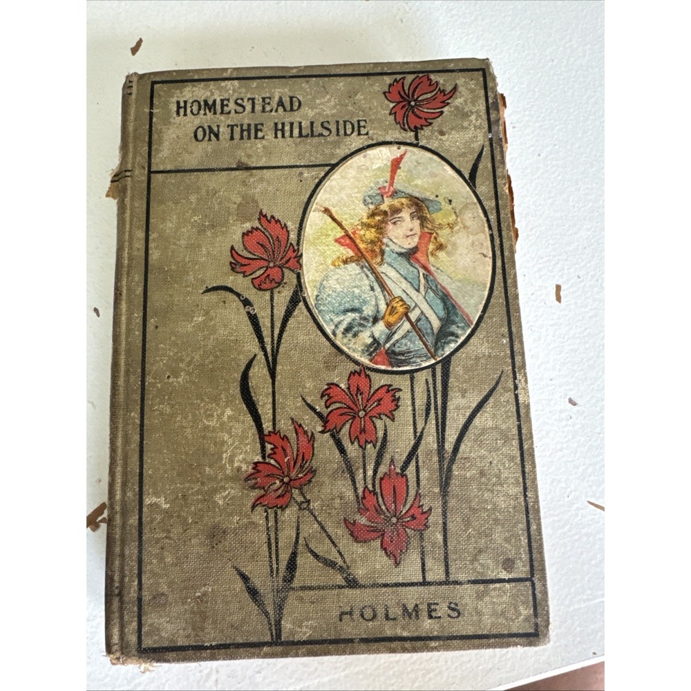 Vintage The Homestead on The Hillside by Mary J Holmes, HC Acceptable